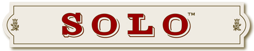 Solo-Logo1 web